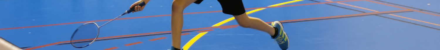 Badminton Saint Sébastien